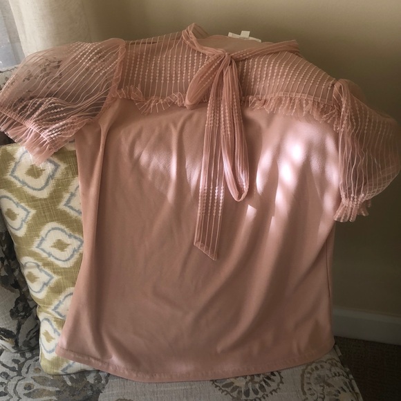 NWT pale pink sheer neck & sleeves top with ties - Picture 7 of 12
